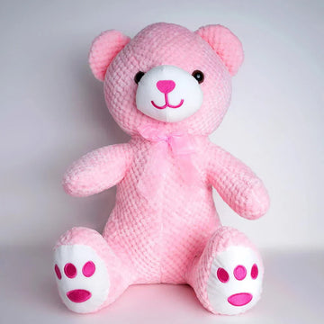 Bear Plush Toy