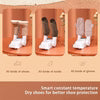 Shoe Drye